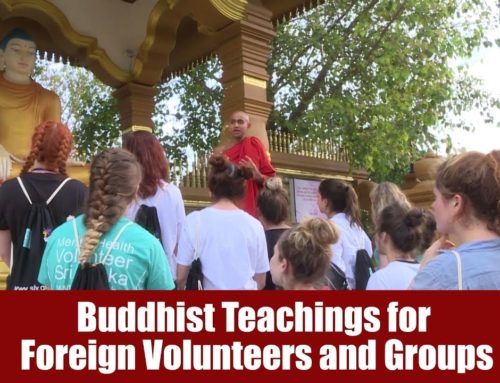 Buddhist Teachings for Foreign Volunteers and Groups